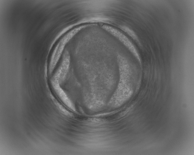 X0000074031420200609181915