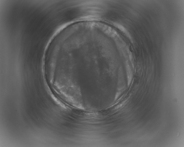 X0000074031421200609181915