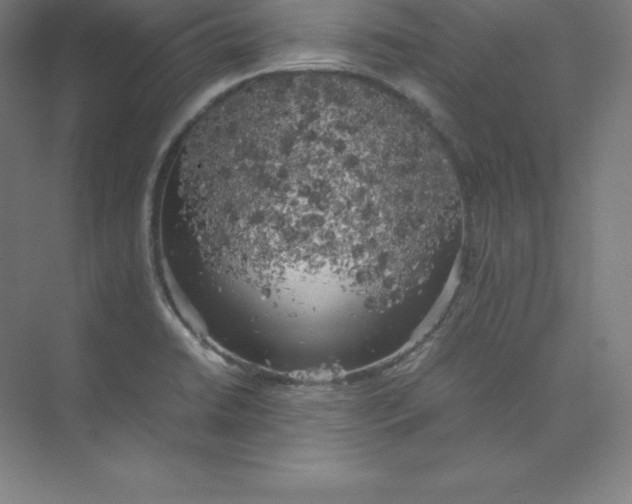 X0000074031422200609181915