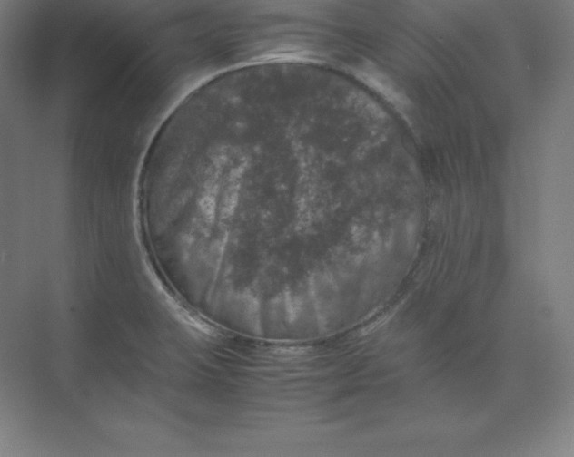 X0000074031423200609181915