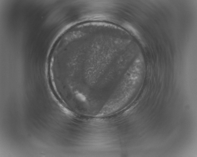 X0000074031424200609181915