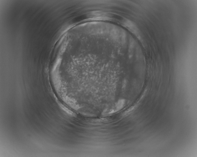 X0000074031425200609181915