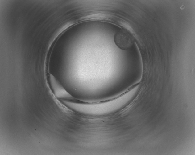 X0000074031426200609181915