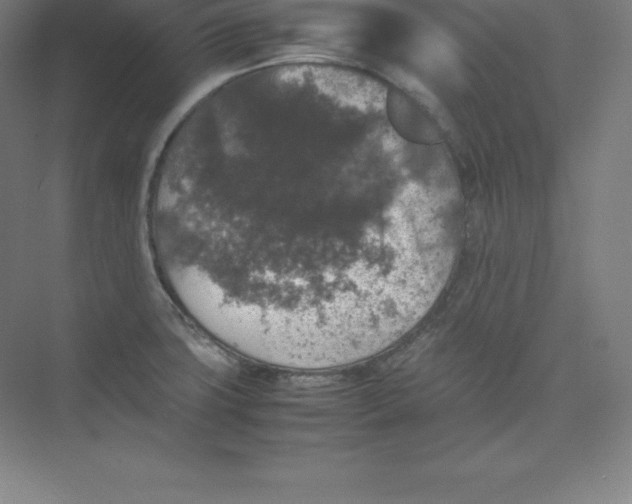 X0000074031427200609181915