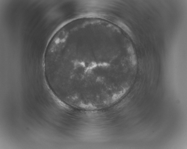 X0000074031428200609181915