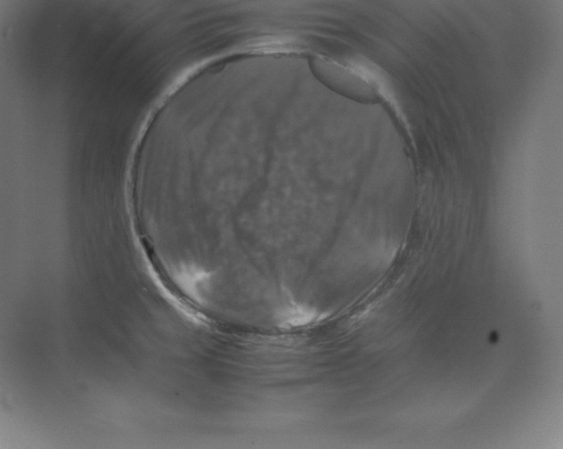 X0000074031429200609181915