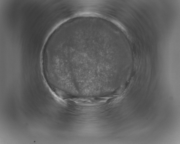 X0000074031430200609181915