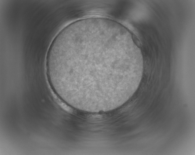 X0000074031431200609181915