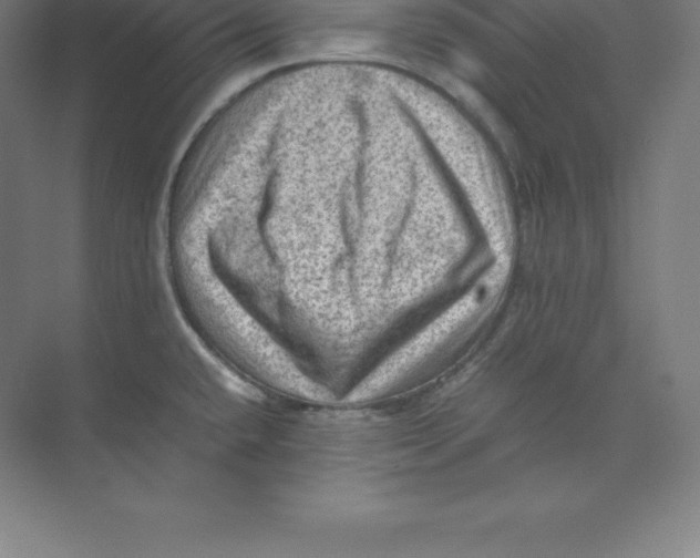 X0000074031432200609181915