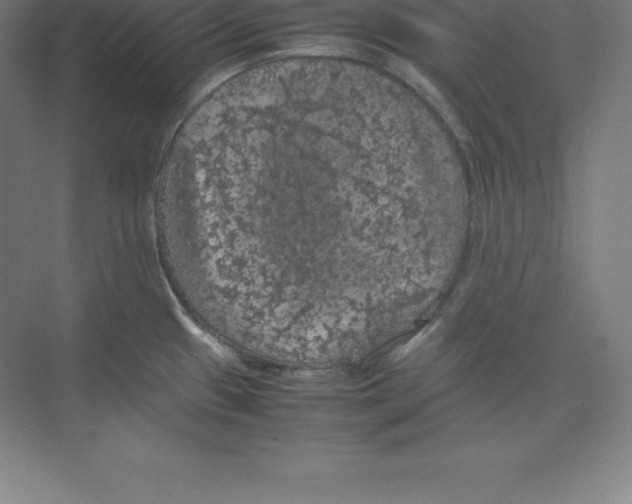 X0000074031433200609181915