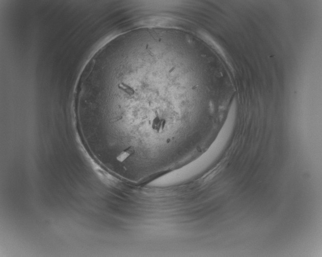 X0000074031434200609181915