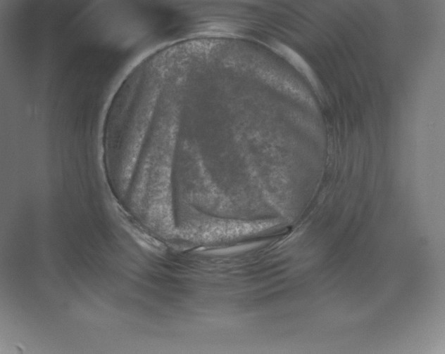 X0000074031435200609181915