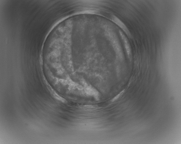 X0000074031436200609181915