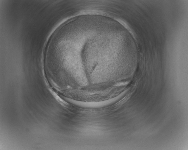 X0000074031438200609181915