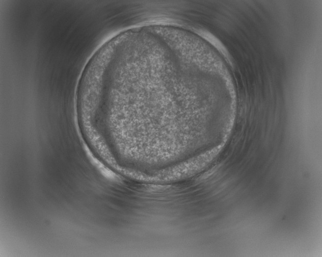 X0000074031439200609181915