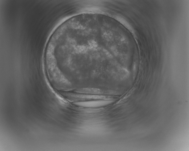 X0000074031440200609181915