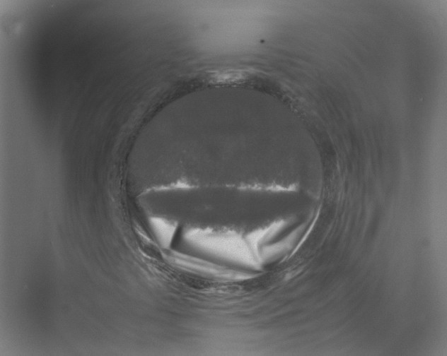 X0000074031441200609181914