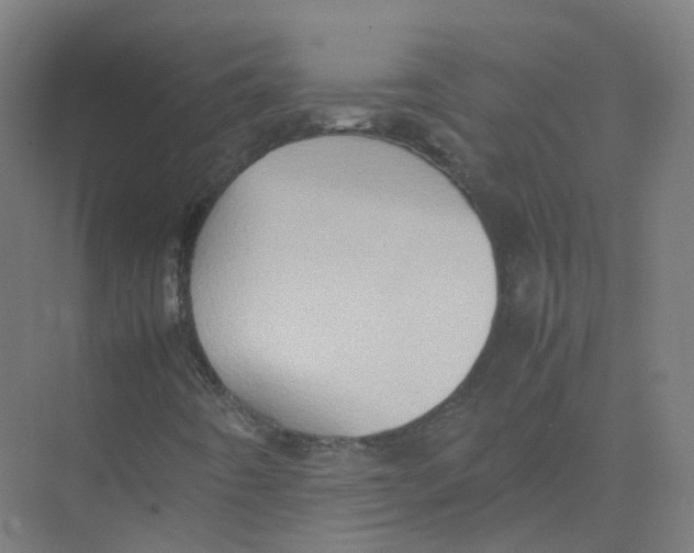 X0000074031442200609181914