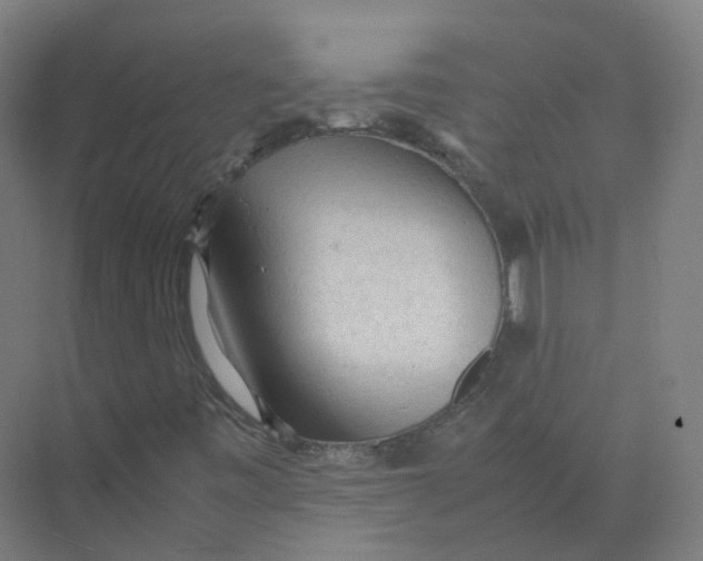 X0000074031443200609181914