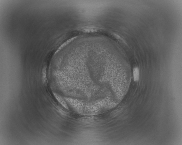 X0000074031444200609181914