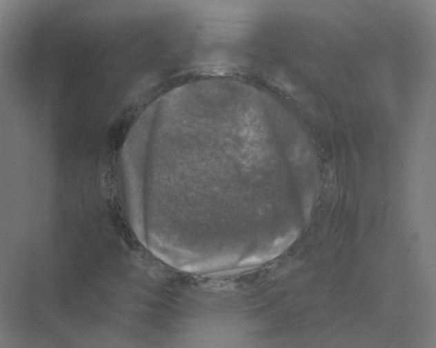 X0000074031446200609181914