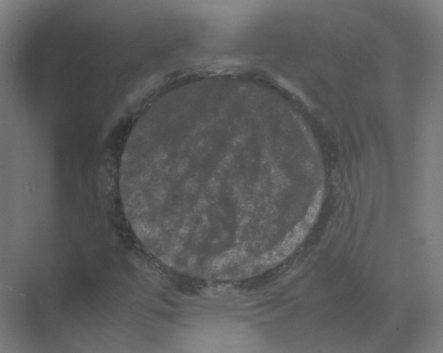 X0000074031447200609181914