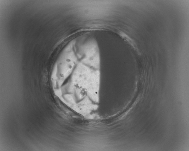 X0000074031449200609181914