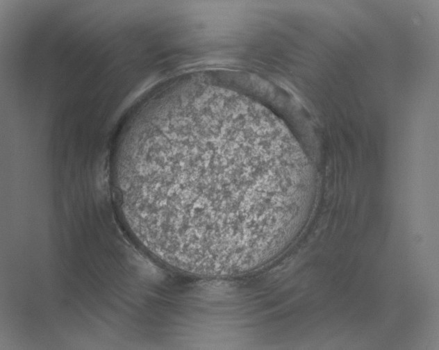 X0000074031450200609181914