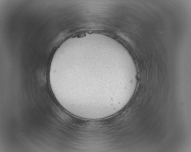 X0000074031451200609181914