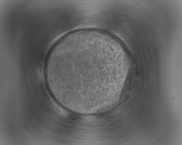 X0000074031452200609181914