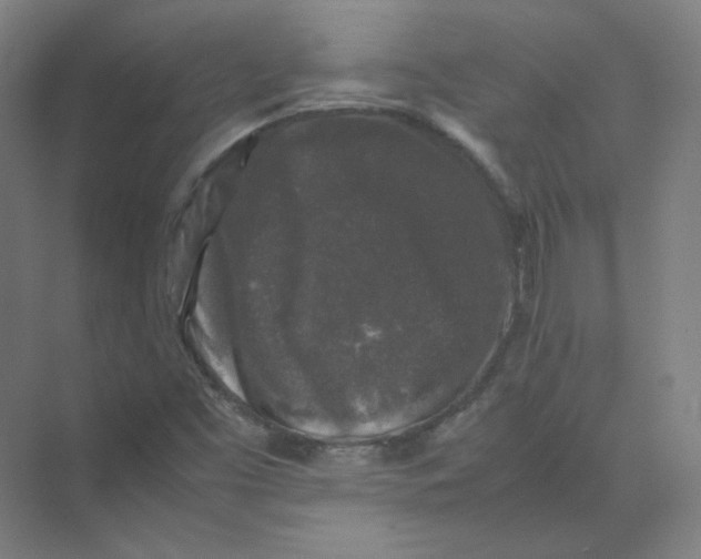 X0000074031453200609181914