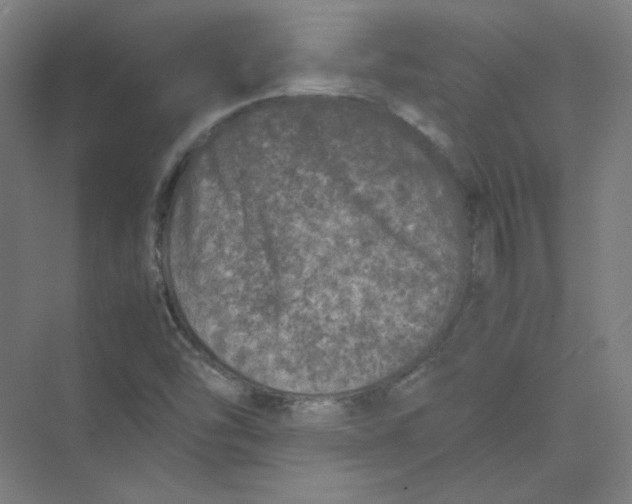 X0000074031454200609181914