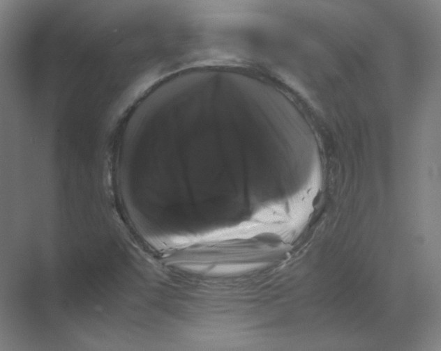 X0000074031455200609181914