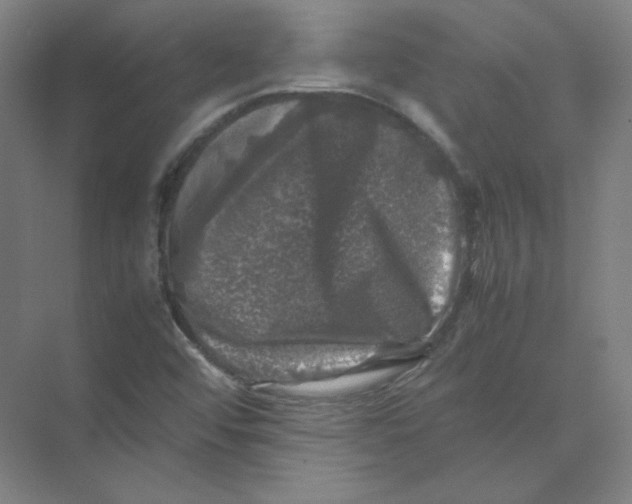 X0000074031456200609181914