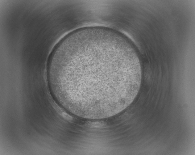 X0000074031460200609181914