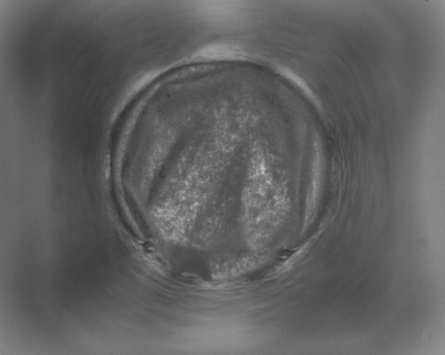 X0000074031461200609181914