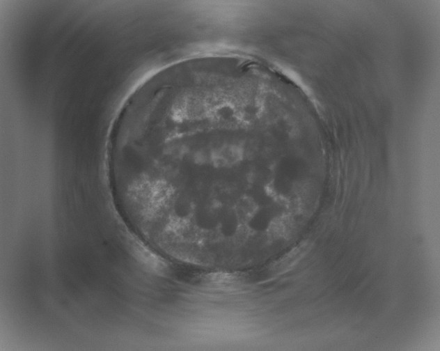 X0000074031463200609181914