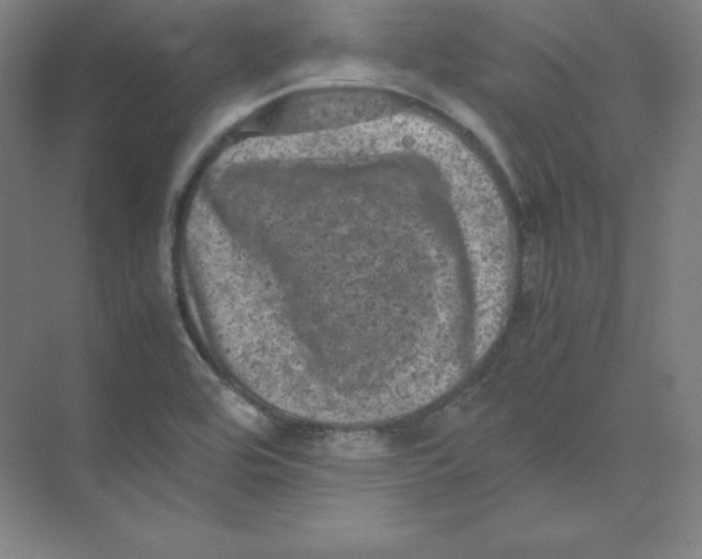 X0000074031464200609181914