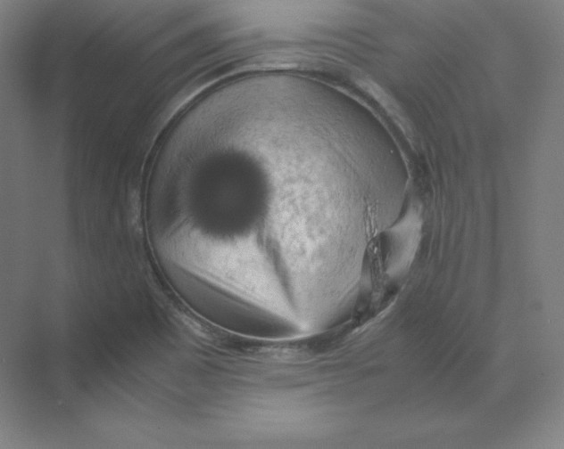 X0000074031465200609181914