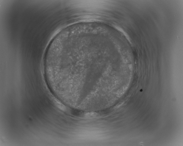 X0000074031467200609181914