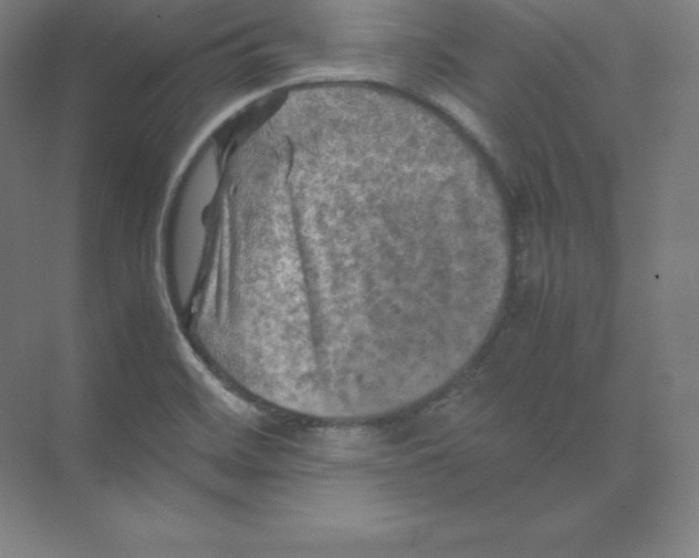 X0000074031468200609181914