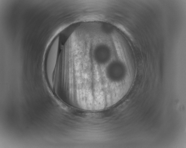 X0000074031469200609181914