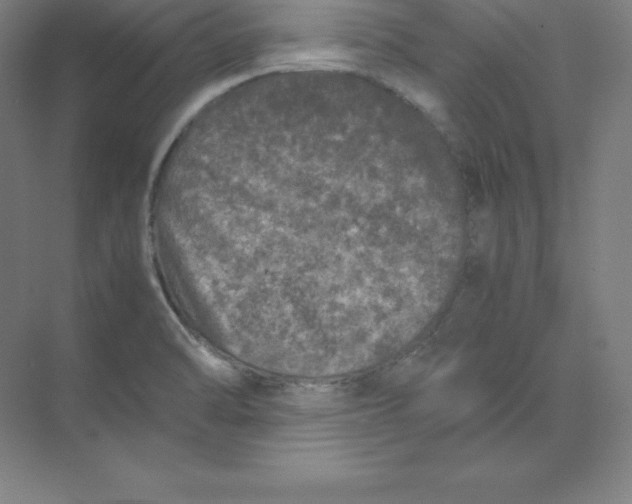 X0000074031470200609181914