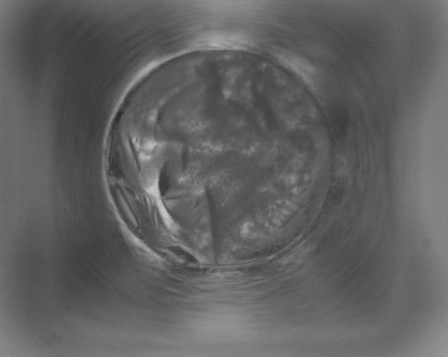 X0000074031471200609181914