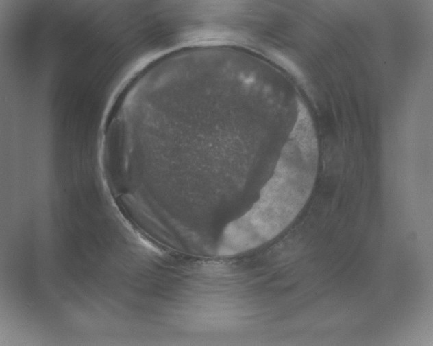 X0000074031472200609181914