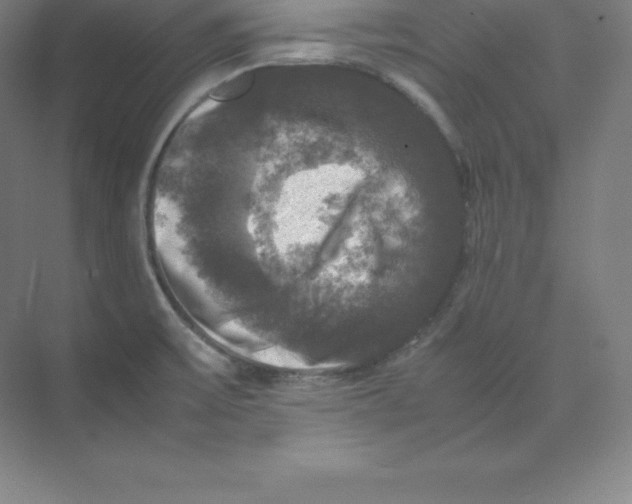 X0000074031475200609181914