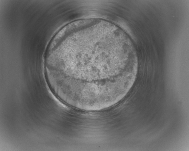 X0000074031476200609181914