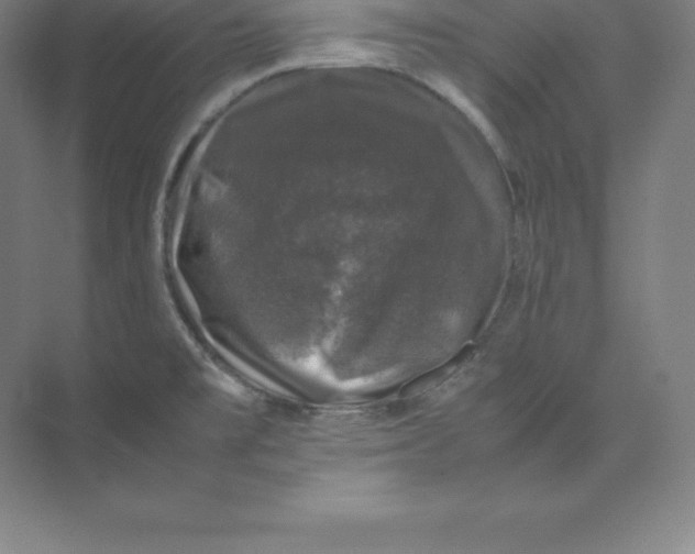 X0000074031477200609181914