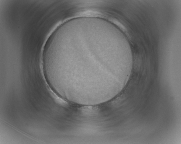 X0000074031478200609181914