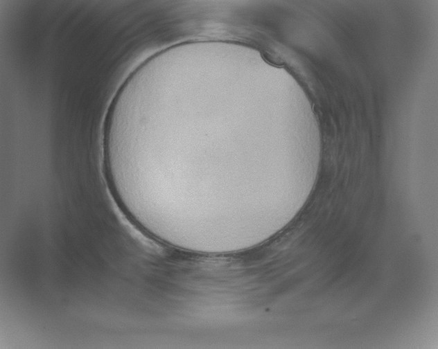 X0000074031479200609181914